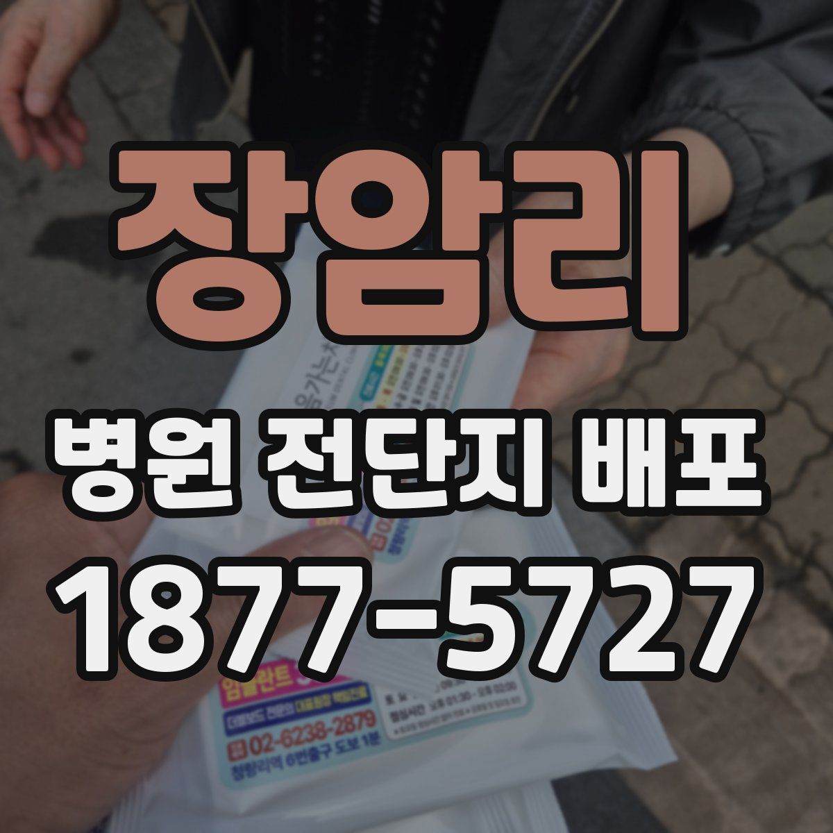 장암리 병원 전단지 배포