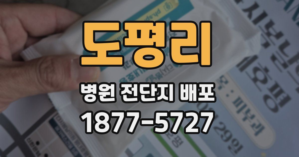도평리 병원 전단지 배포