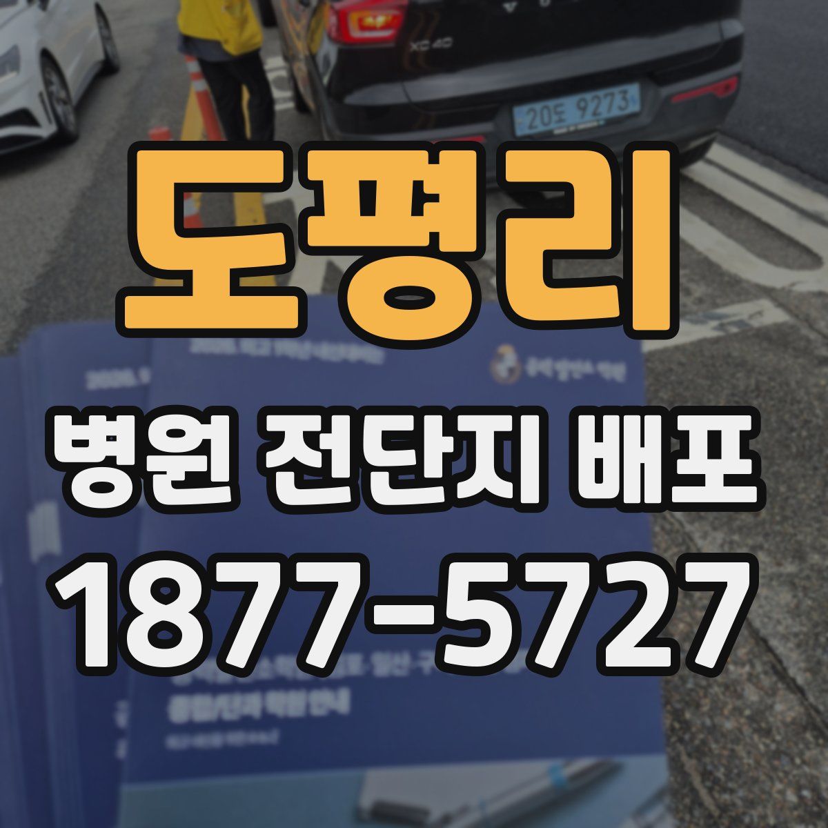 도평리 병원 전단지 배포