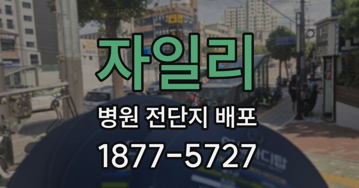 자일리 병원 전단지 배포