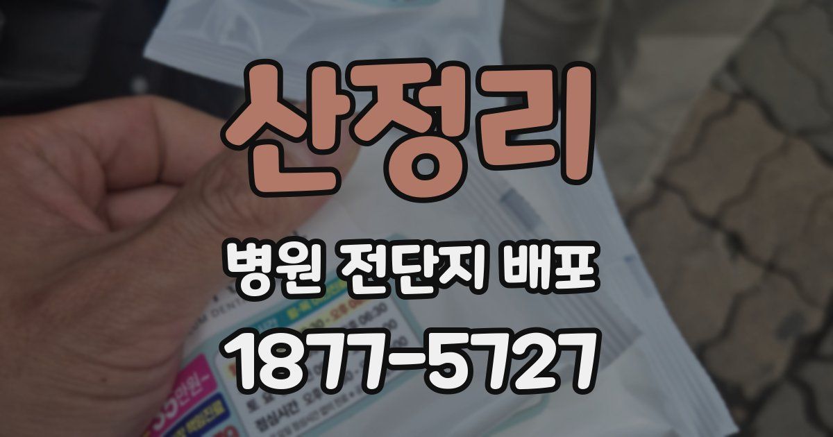 산정리 병원 전단지 배포