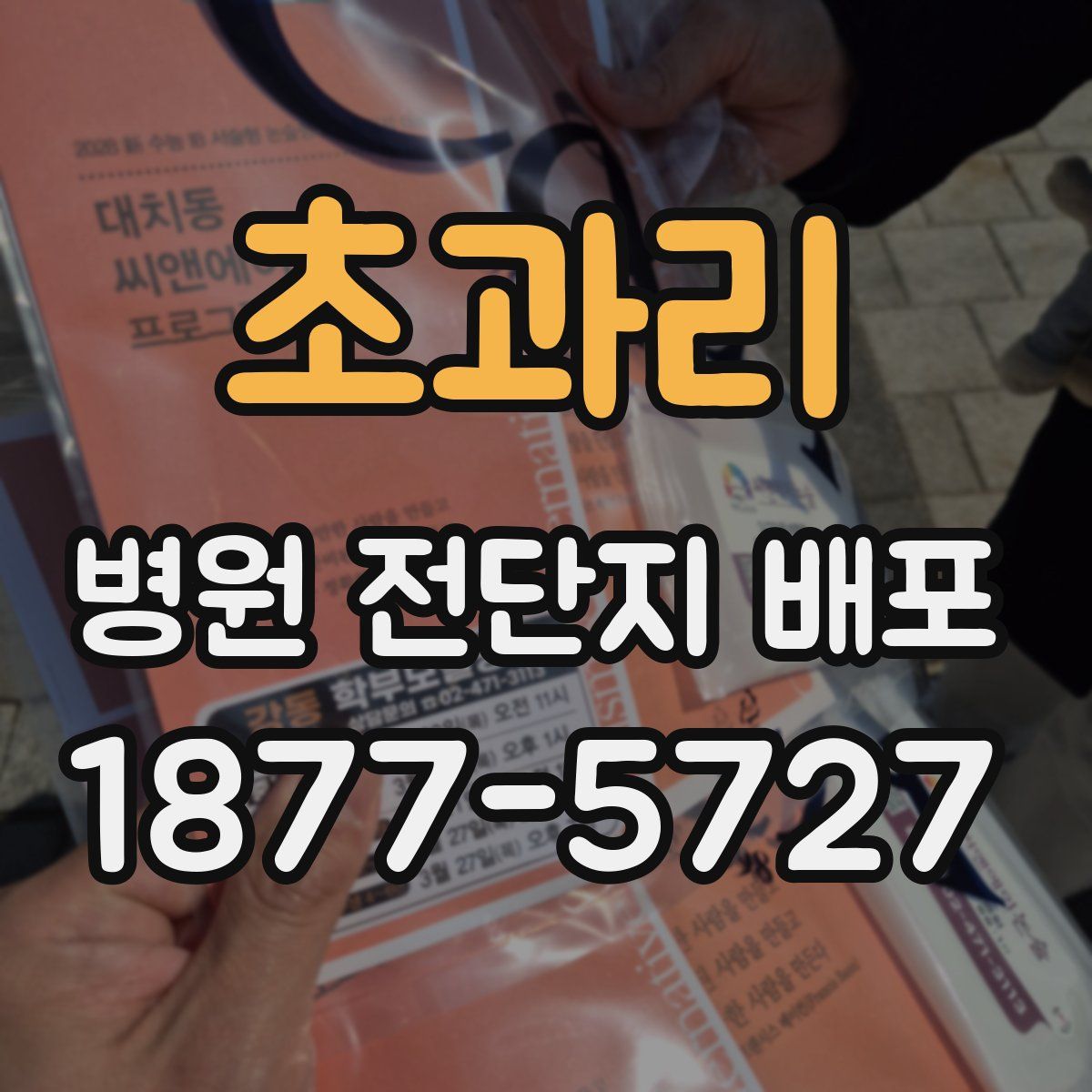 초과리 병원 전단지 배포