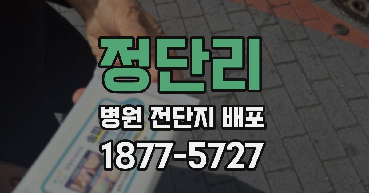 정단리 병원 전단지 배포