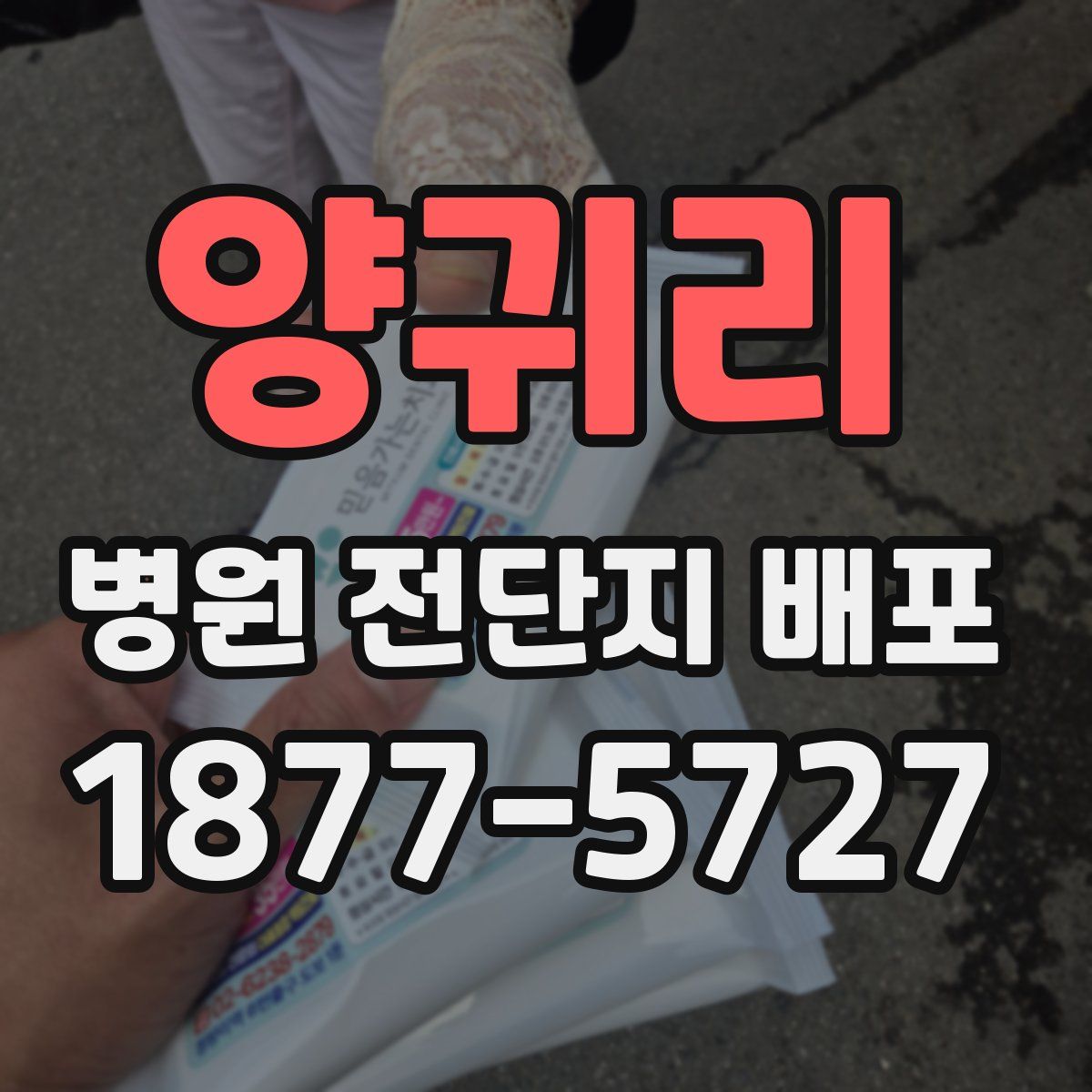 양귀리 병원 전단지 배포