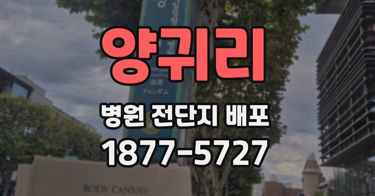 양귀리 병원 전단지 배포