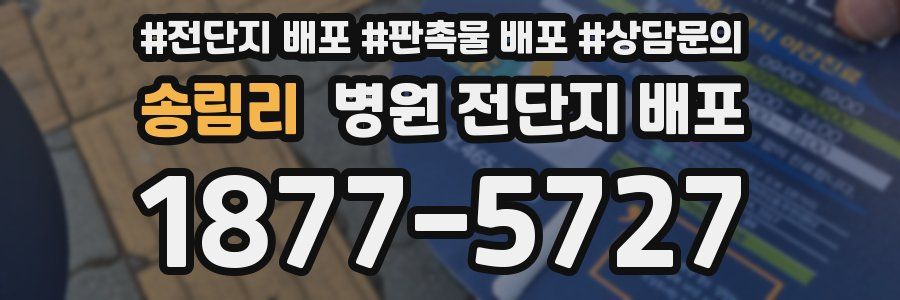 송림리 병원 전단지 배포