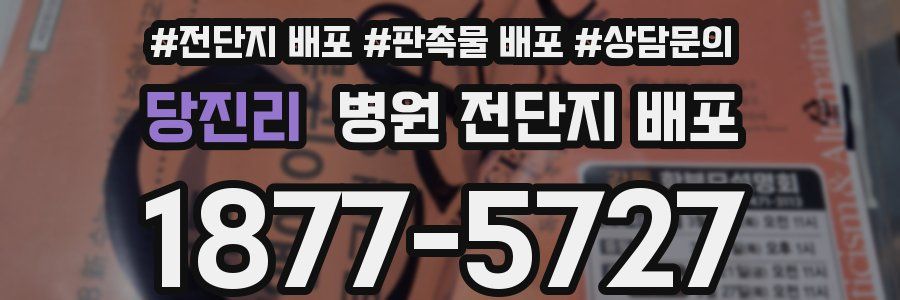 당진리 병원 전단지 배포