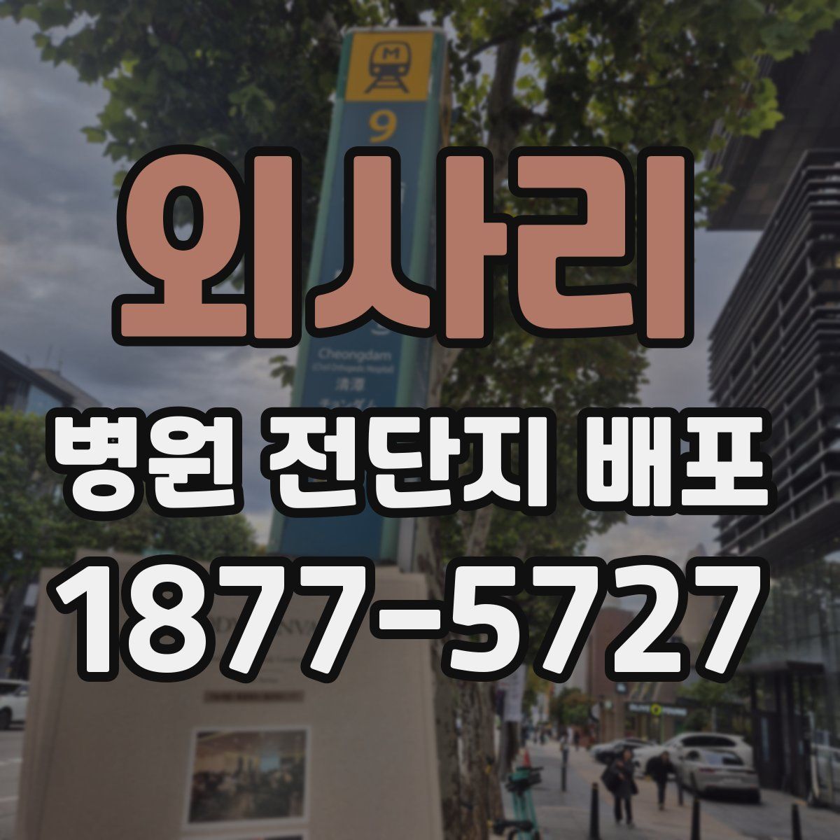 외사리 병원 전단지 배포