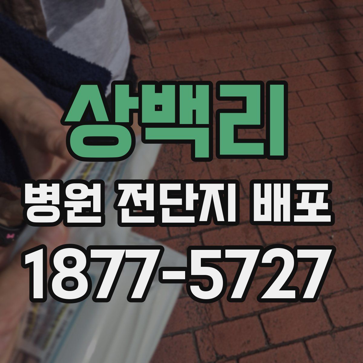 상백리 병원 전단지 배포
