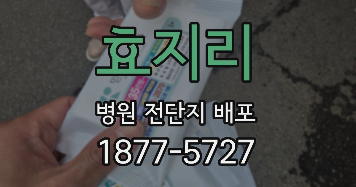 효지리 병원 전단지 배포