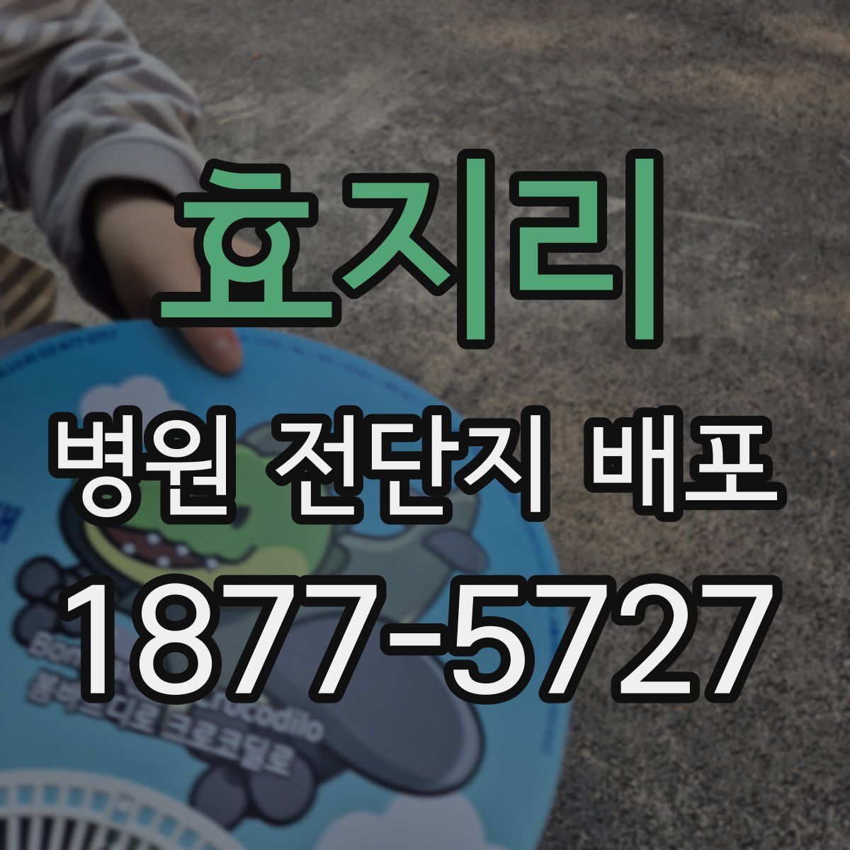 효지리 병원 전단지 배포