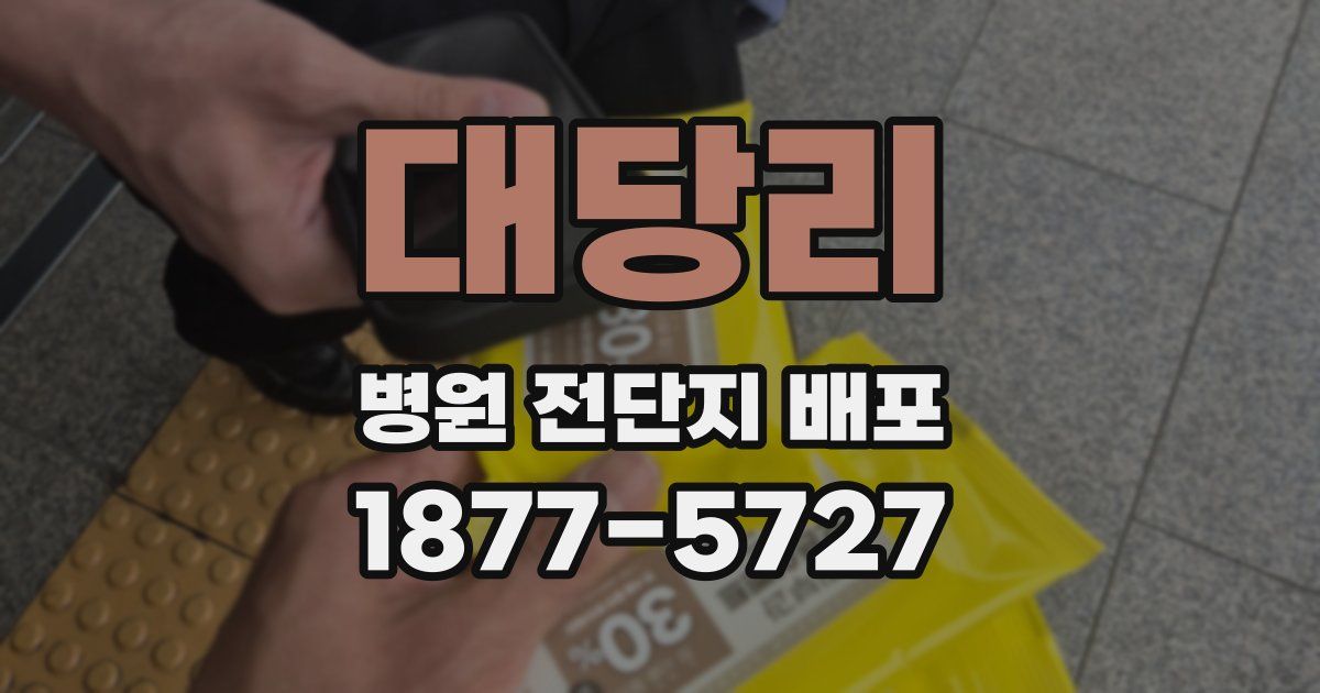 대당리 병원 전단지 배포