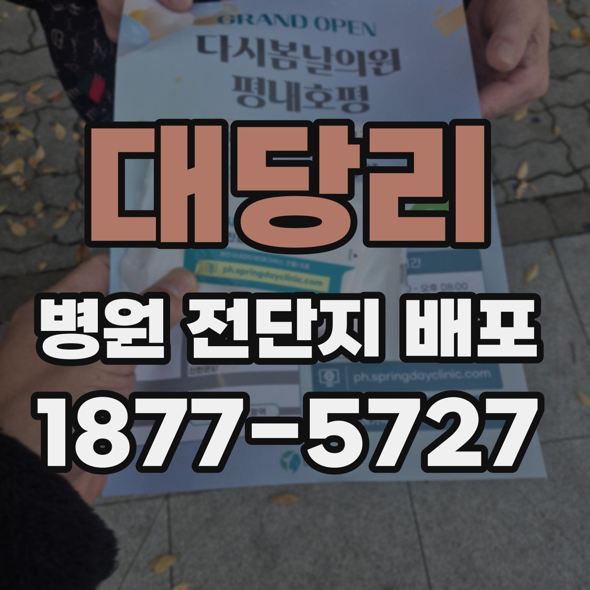 대당리 병원 전단지 배포