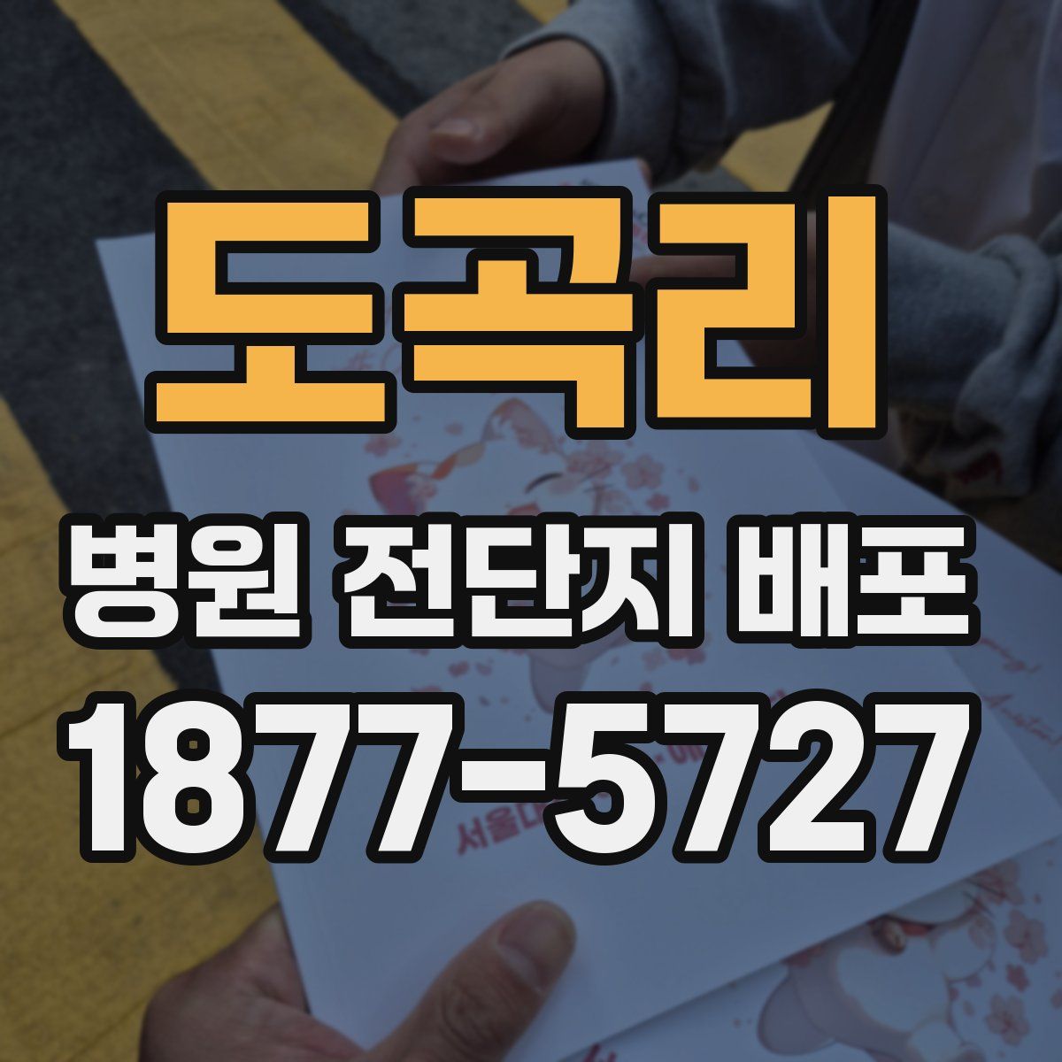 도곡리 병원 전단지 배포