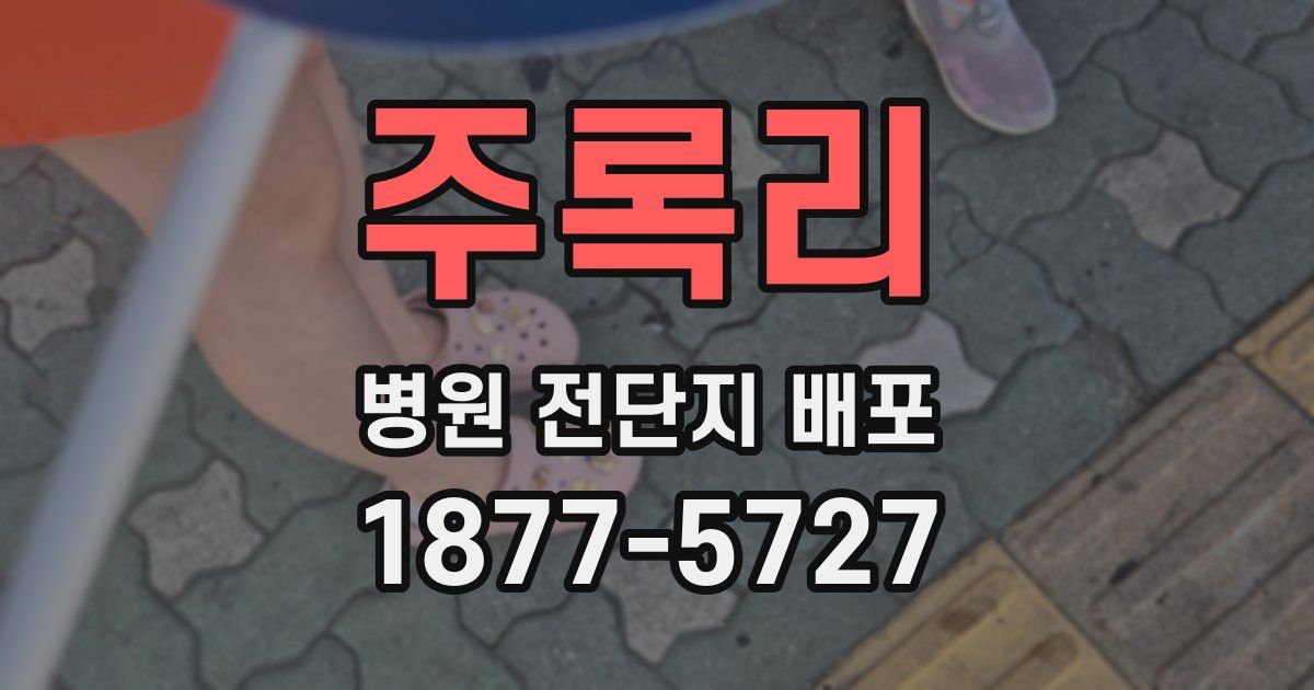 주록리 병원 전단지 배포