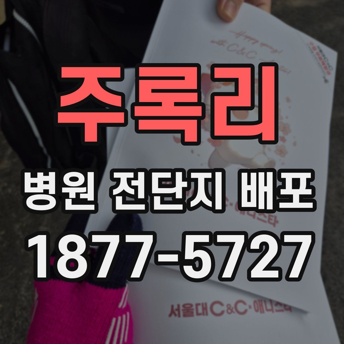주록리 병원 전단지 배포