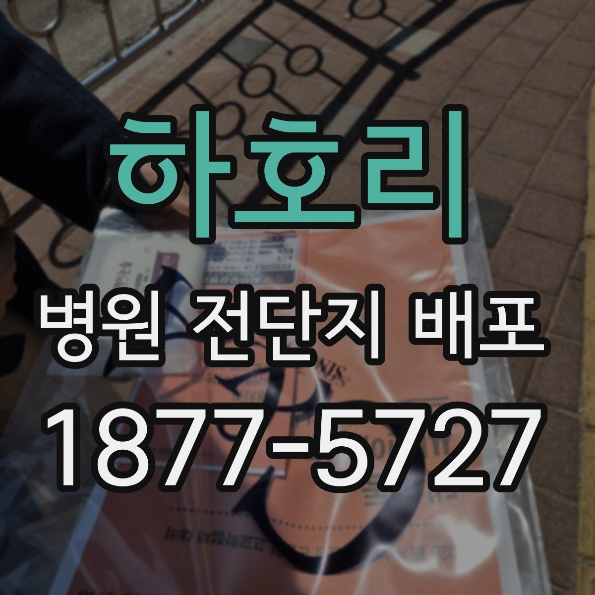 하호리 병원 전단지 배포