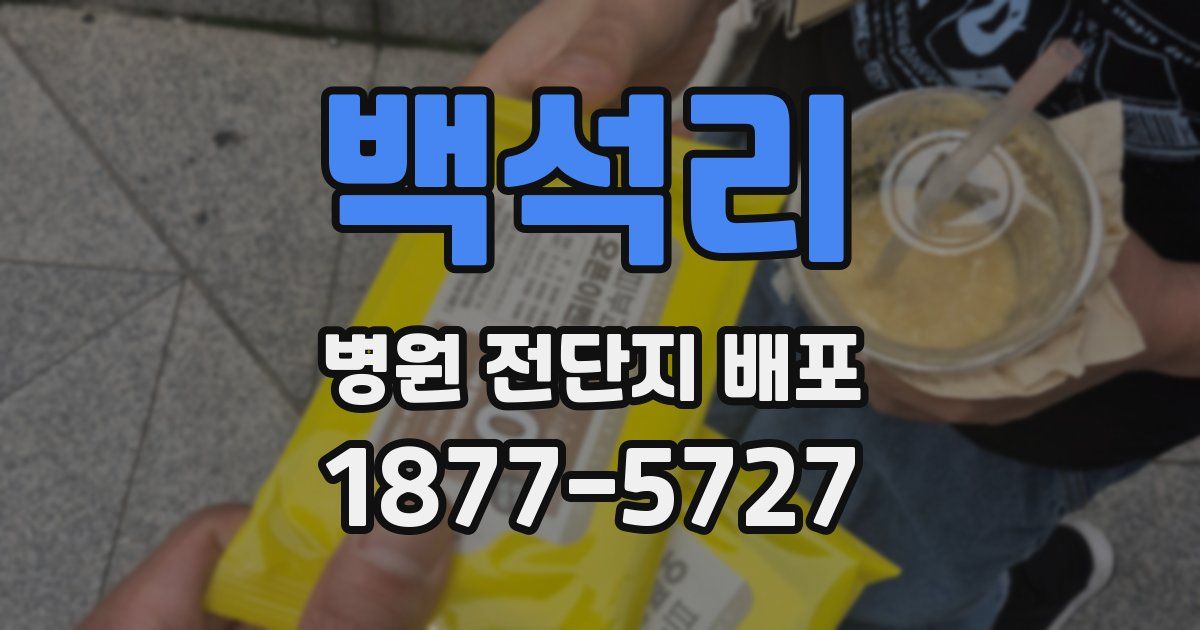백석리 병원 전단지 배포