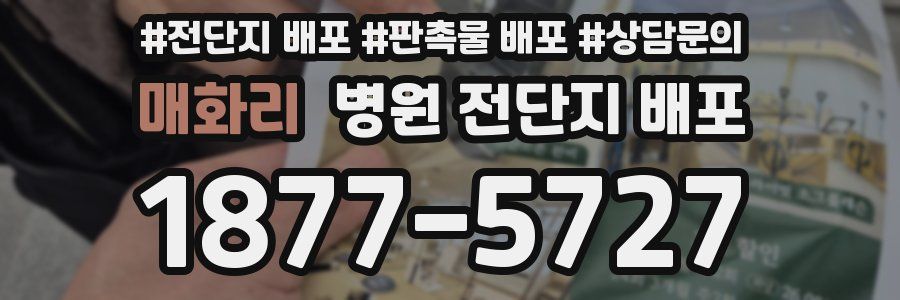 매화리 병원 전단지 배포