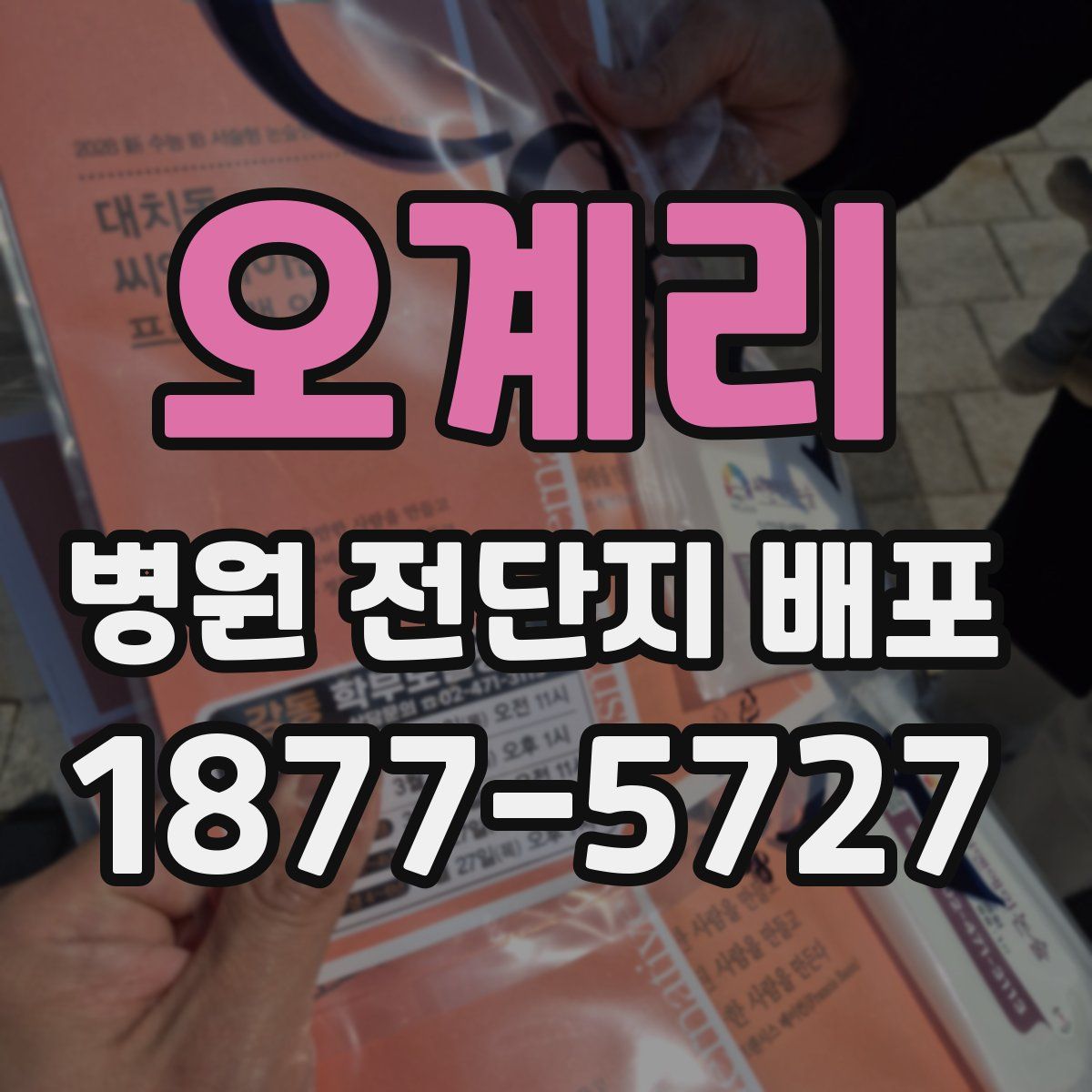 오계리 병원 전단지 배포