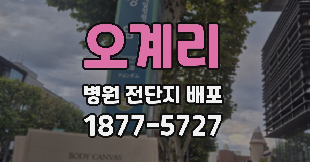 오계리 병원 전단지 배포