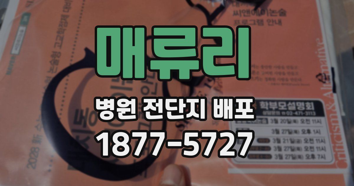 매류리 병원 전단지 배포