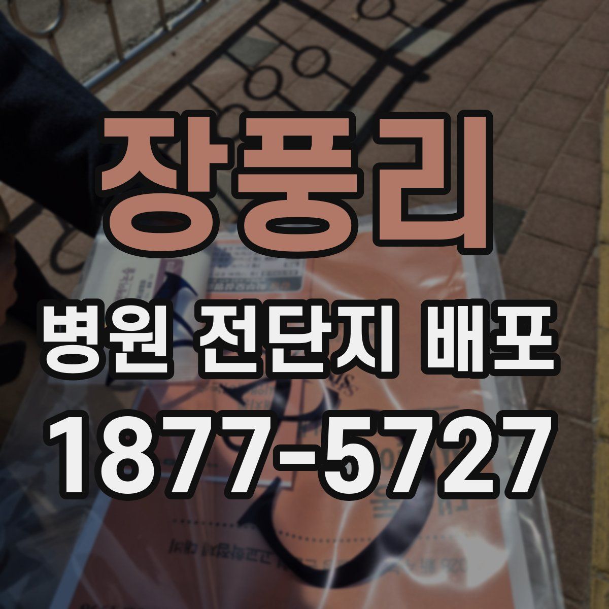 장풍리 병원 전단지 배포