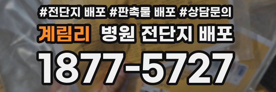 계림리 병원 전단지 배포