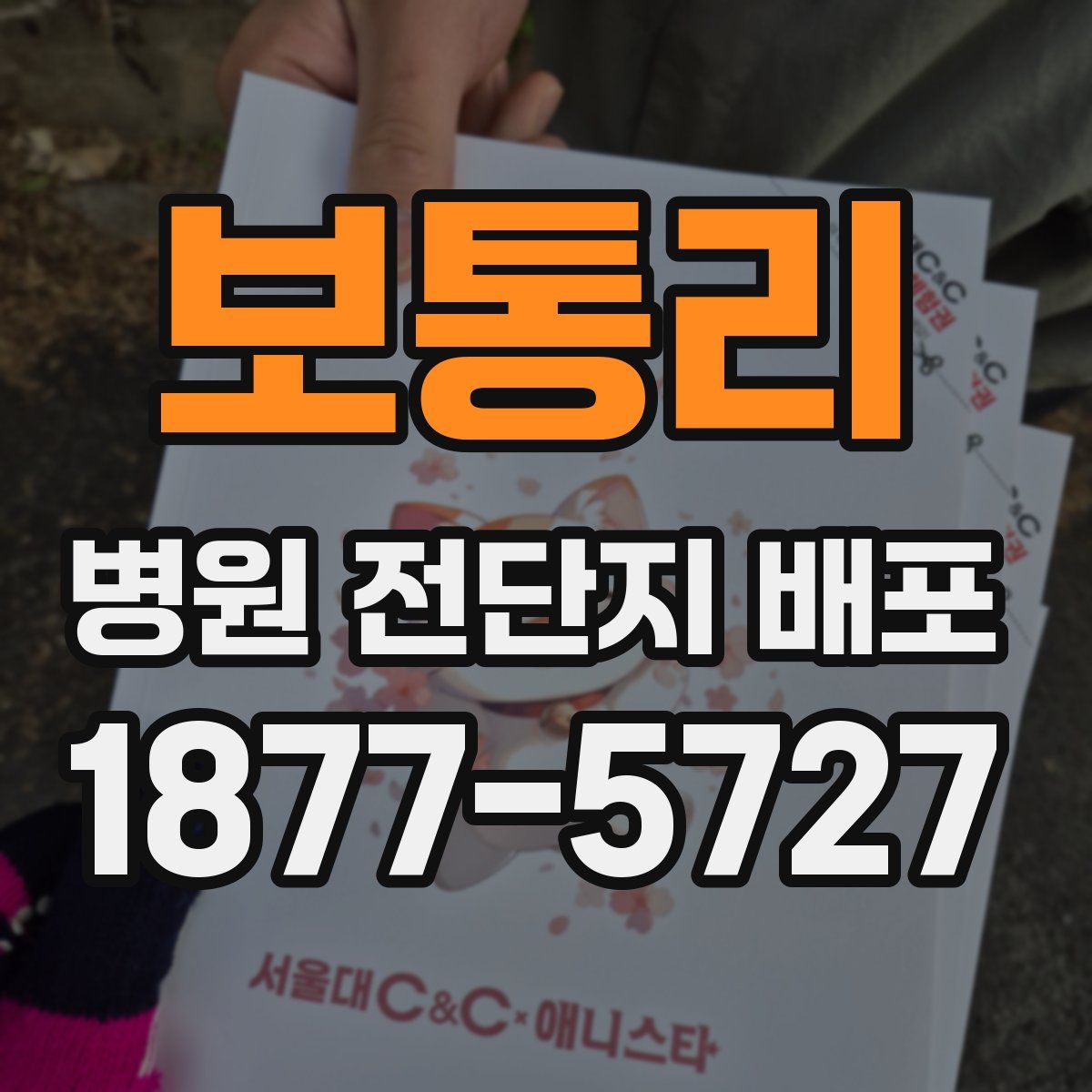 보통리 병원 전단지 배포