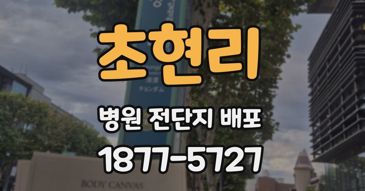 초현리 병원 전단지 배포
