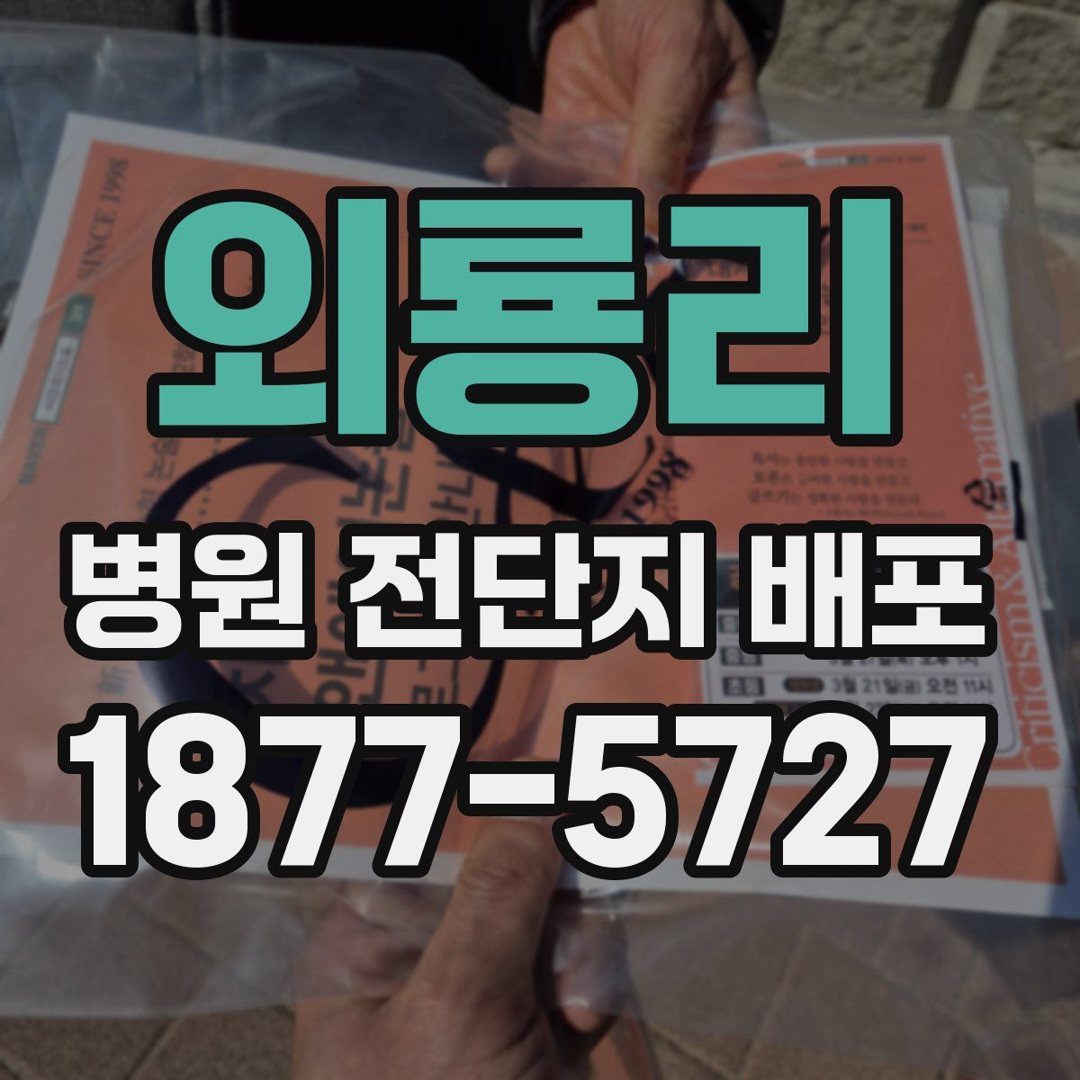 외룡리 병원 전단지 배포