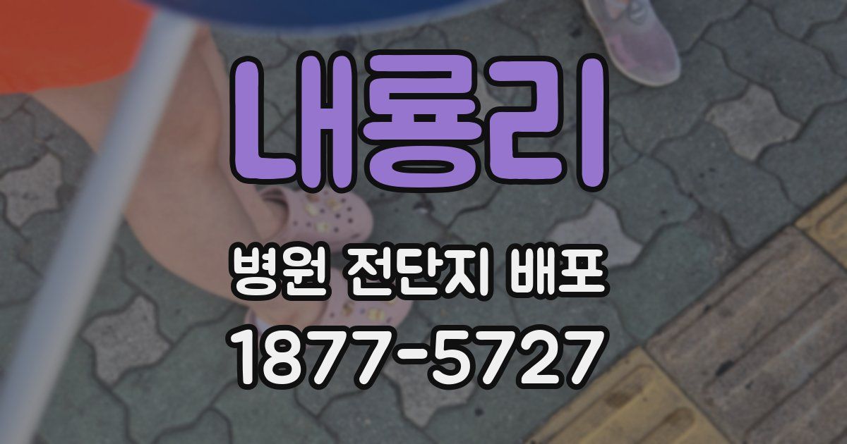 내룡리 병원 전단지 배포