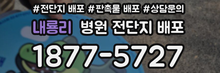 내룡리 병원 전단지 배포