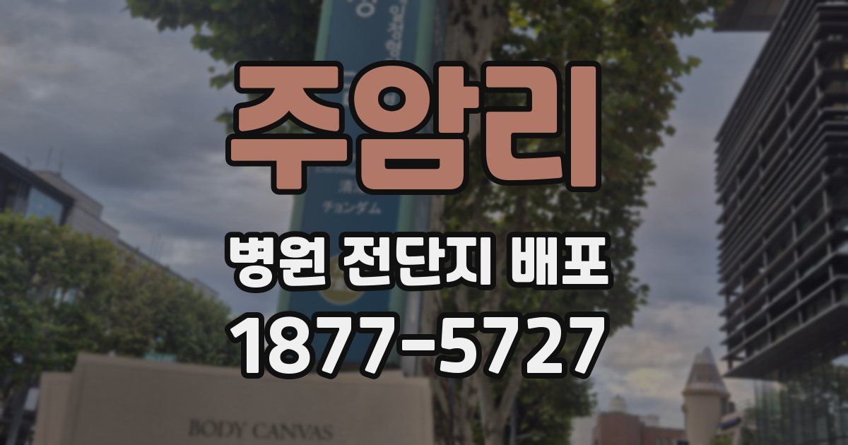주암리 병원 전단지 배포