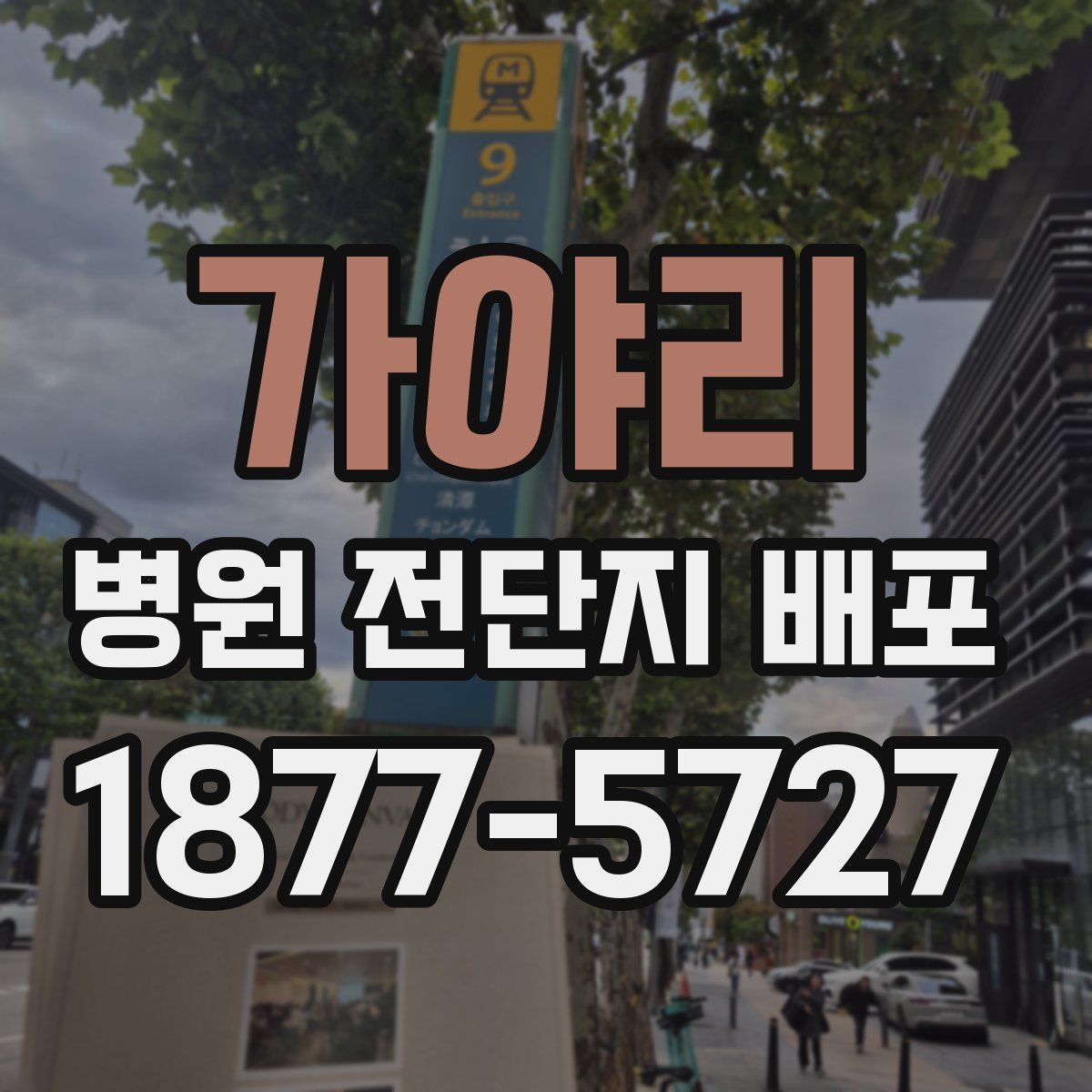 가야리 병원 전단지 배포