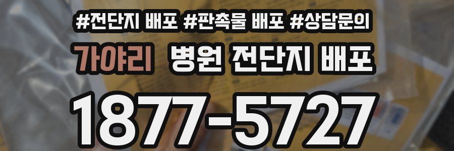 가야리 병원 전단지 배포