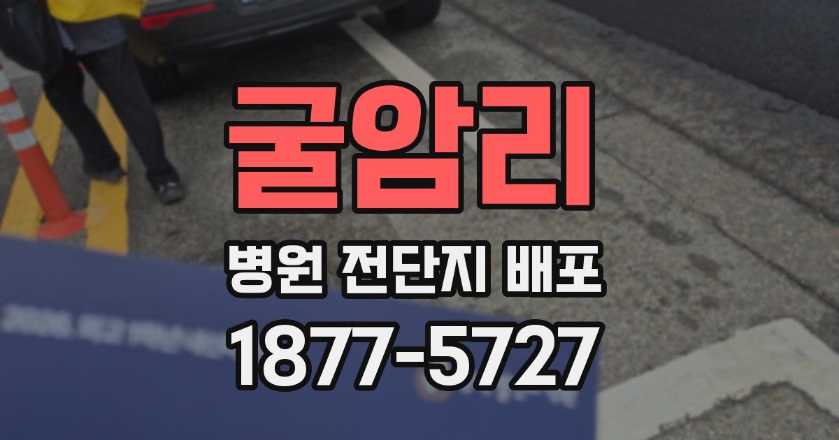 굴암리 병원 전단지 배포
