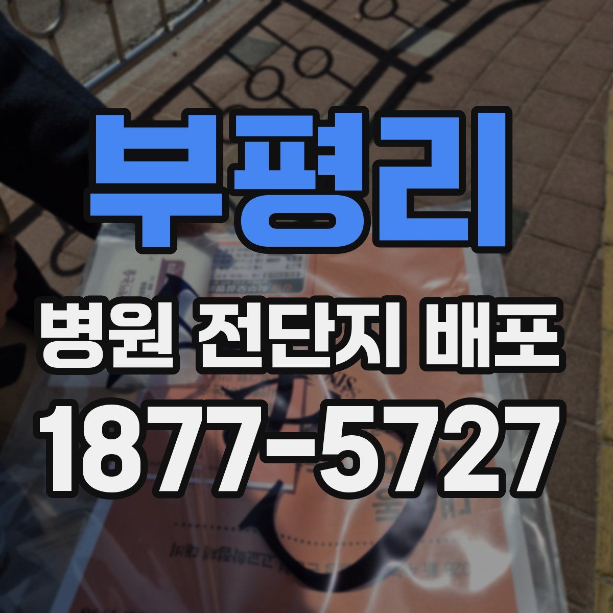 부평리 병원 전단지 배포