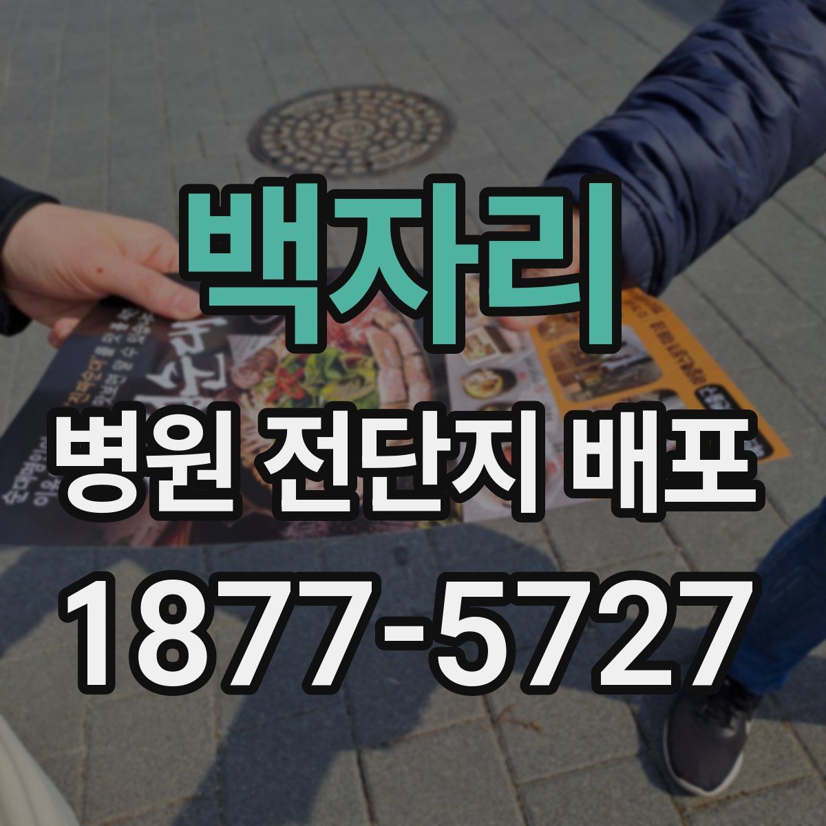 백자리 병원 전단지 배포