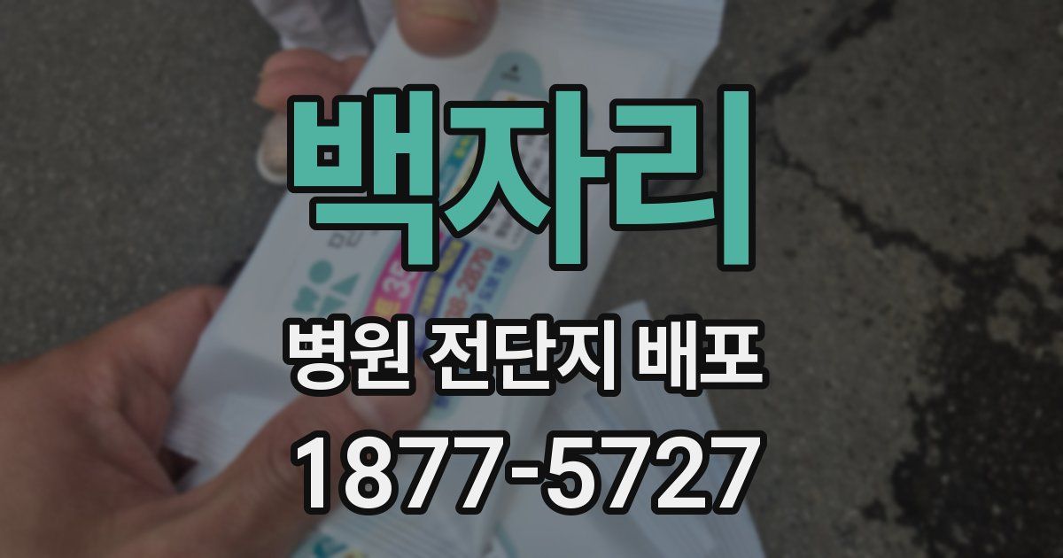 백자리 병원 전단지 배포