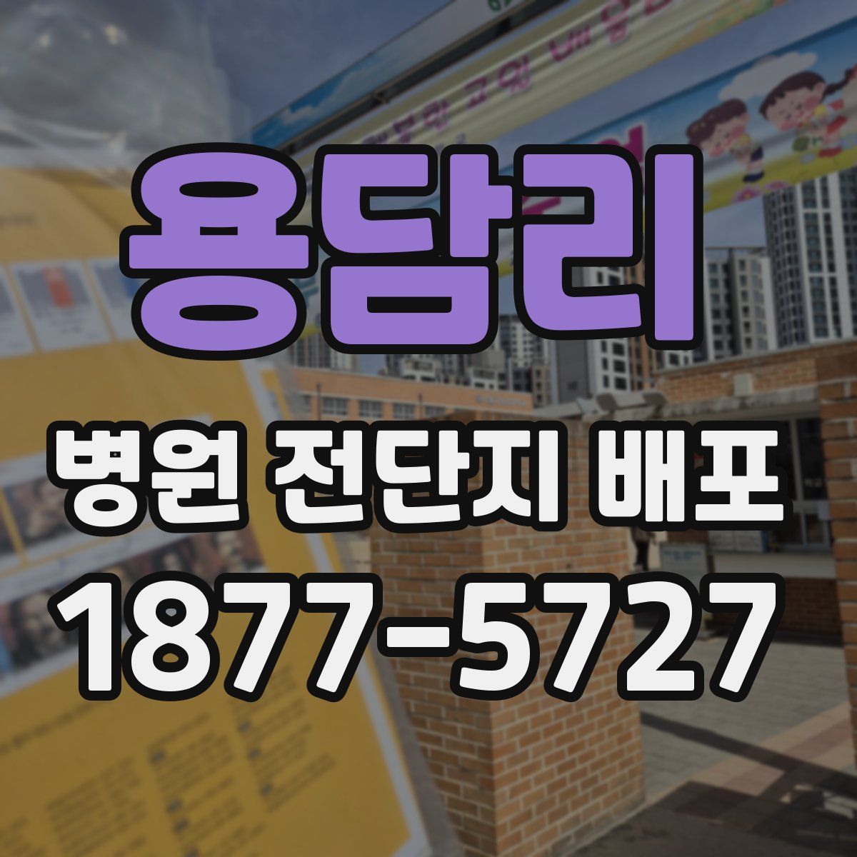 용담리 병원 전단지 배포