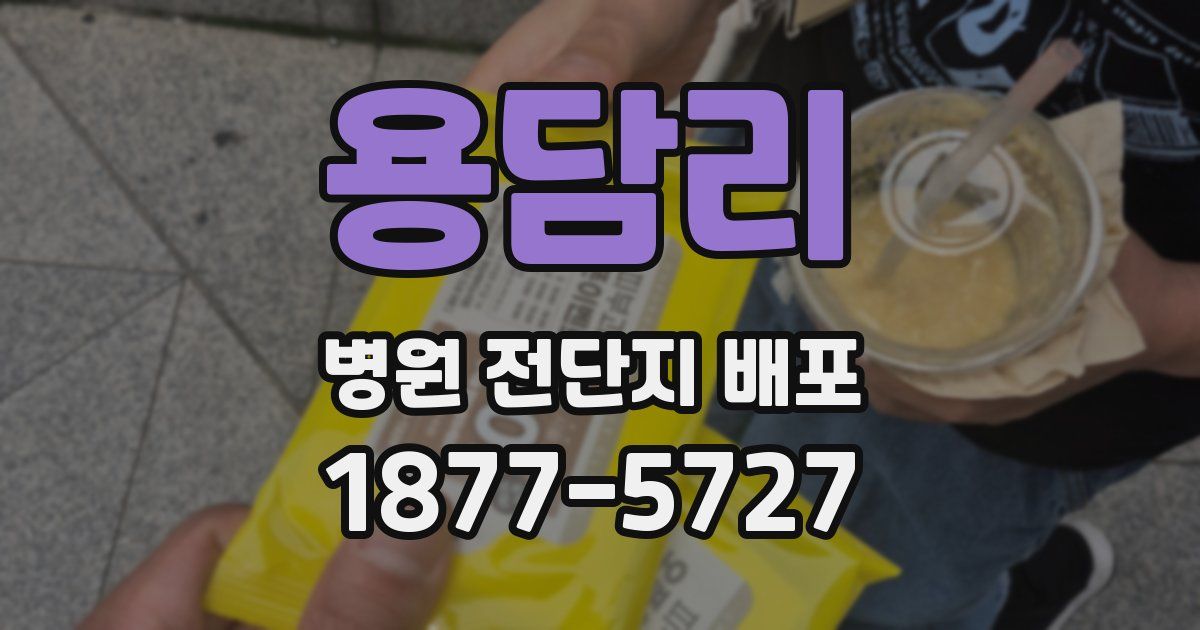 용담리 병원 전단지 배포