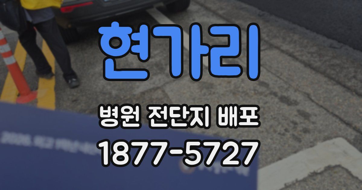 현가리 병원 전단지 배포