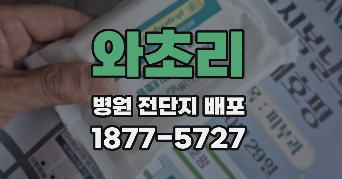 와초리 병원 전단지 배포