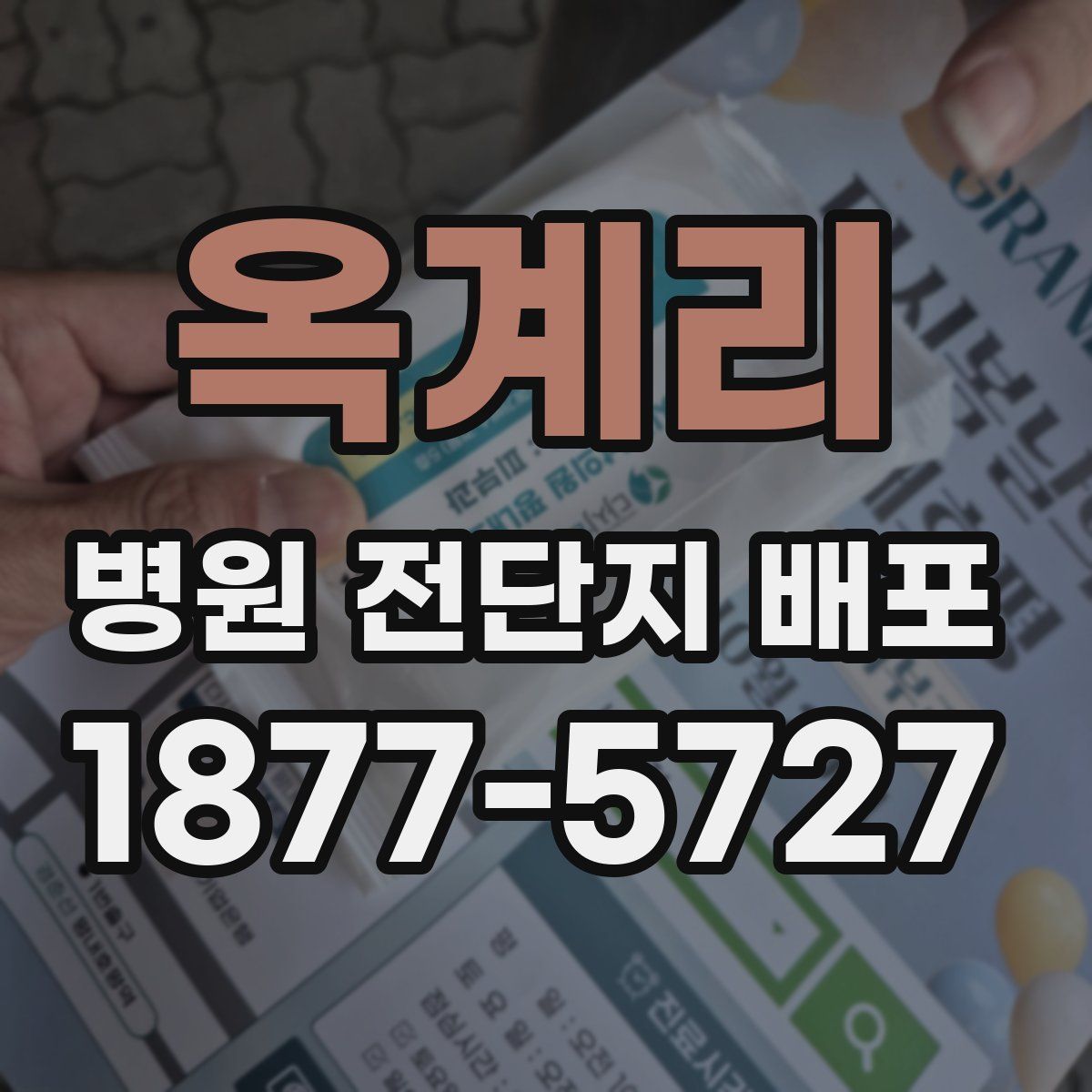 옥계리 병원 전단지 배포