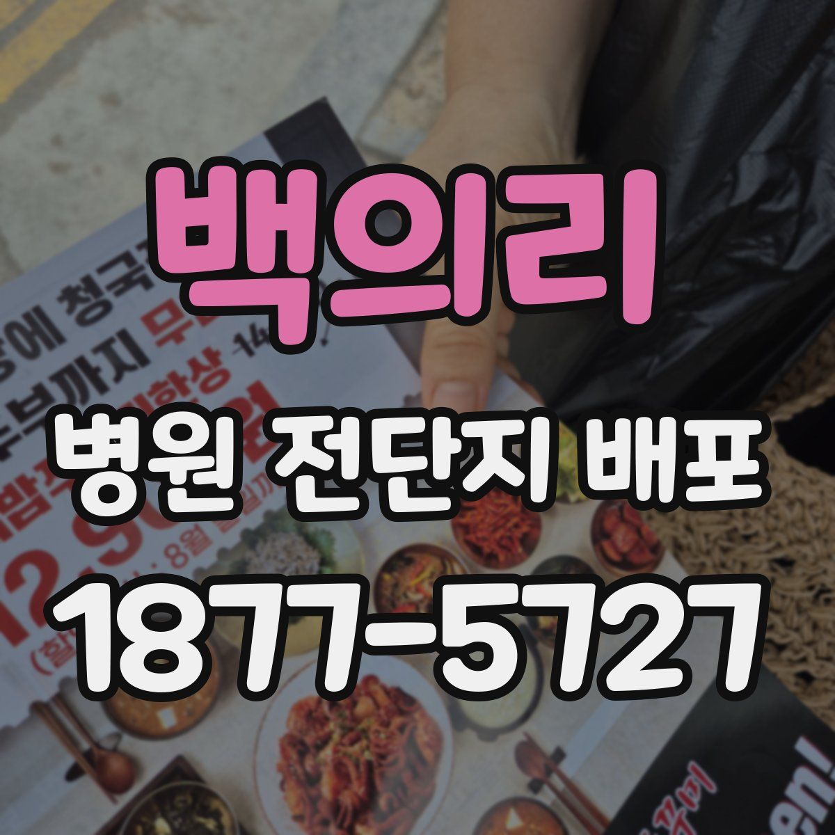 백의리 병원 전단지 배포