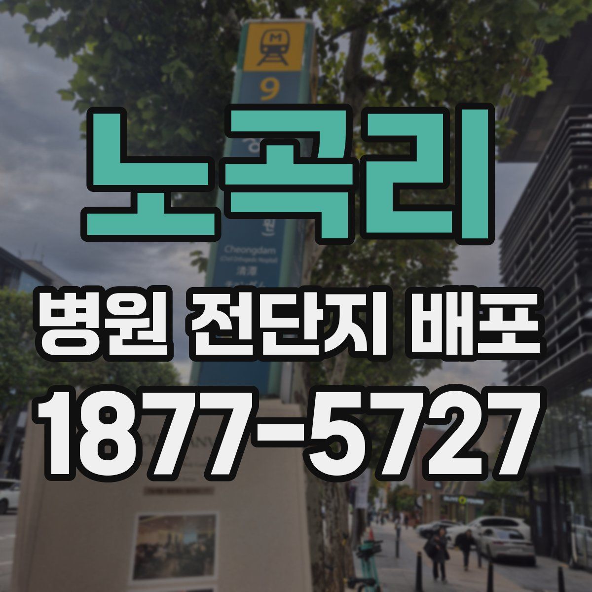 노곡리 병원 전단지 배포