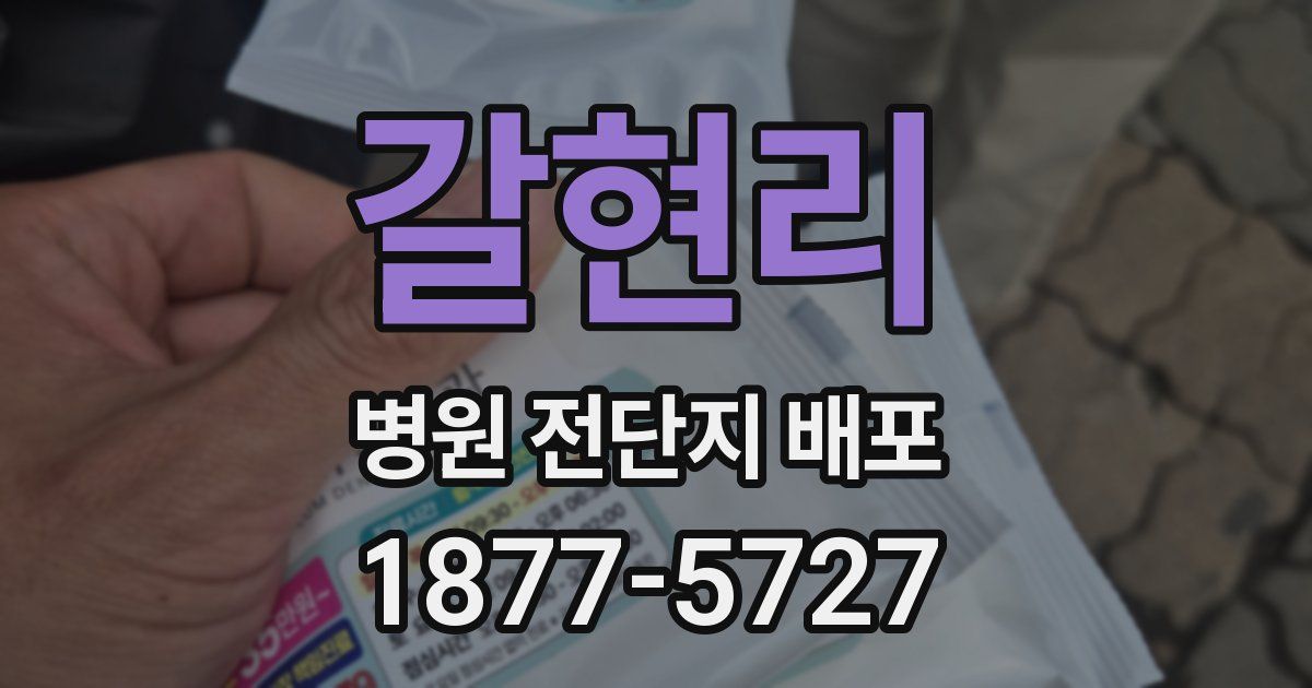 갈현리 병원 전단지 배포