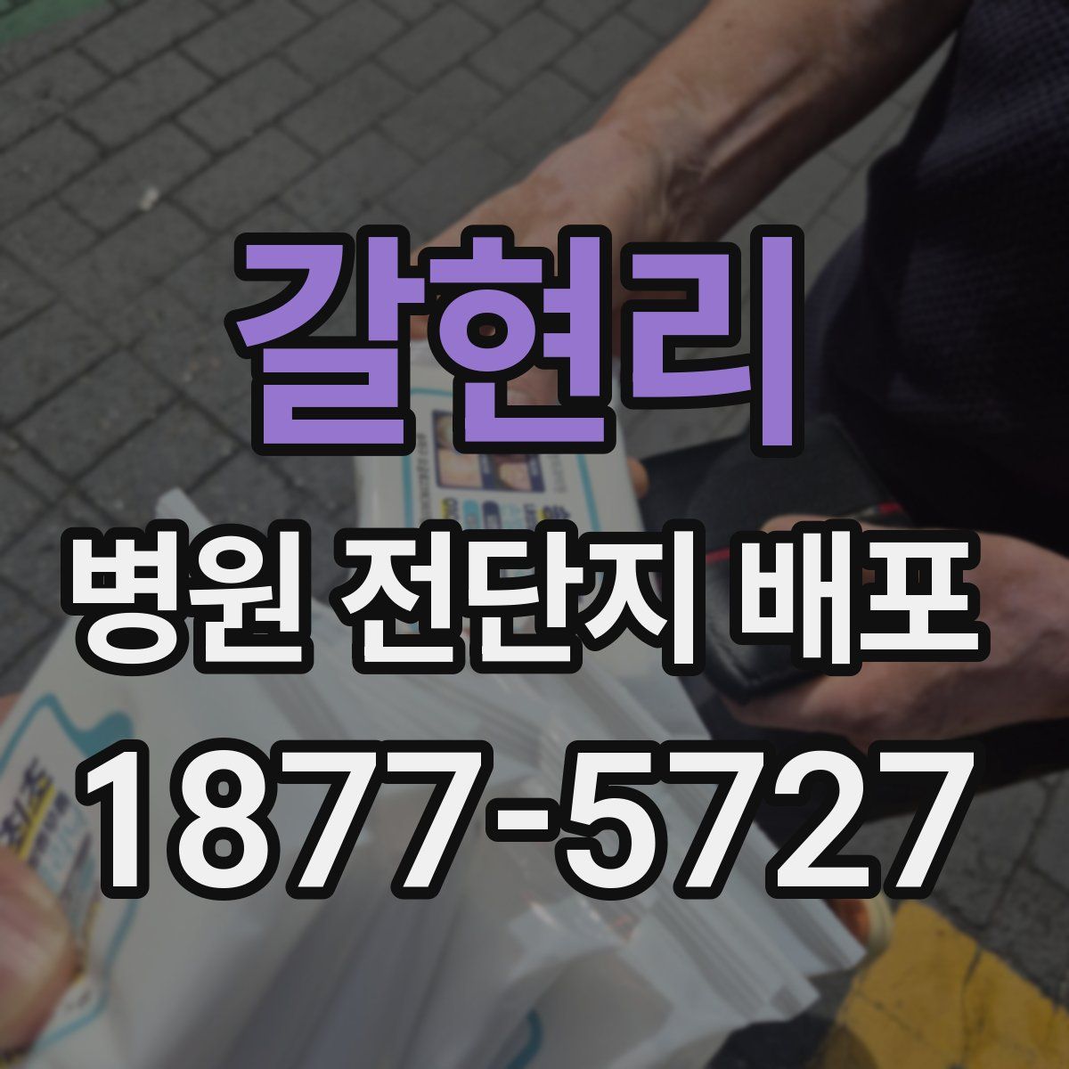 갈현리 병원 전단지 배포