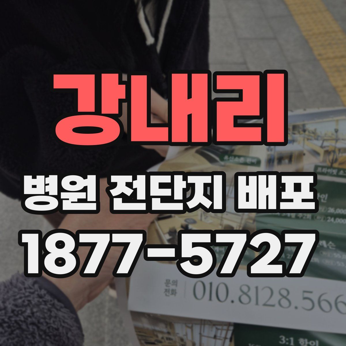 강내리 병원 전단지 배포